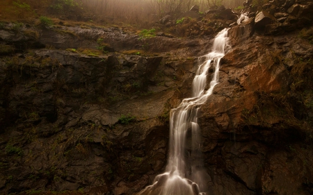 Waterfall - nature, waterfall, plants, rocks