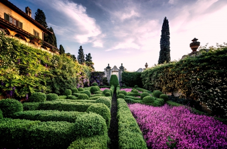 Villa Capponi - blossoms, boxwood, house, garden, hedges