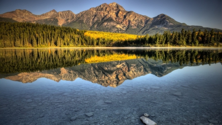 wondrous mountain reflection - clear, lake, forest, reflection, mountain