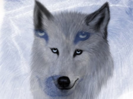 white fantasy - white, wolf, creation, fantasy