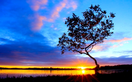 SUMMER MORNING - sky, clouds, rays, river, beach, tree, sun, sunrise