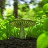 TRIPPY MUSHROOM