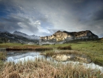 pond in a mountain meadow