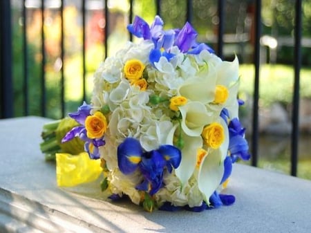 Iris,Cala and roses  - white, cala, roses, iris, flowers, yellow, blue