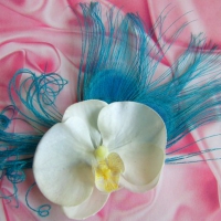 Feathers and orchid