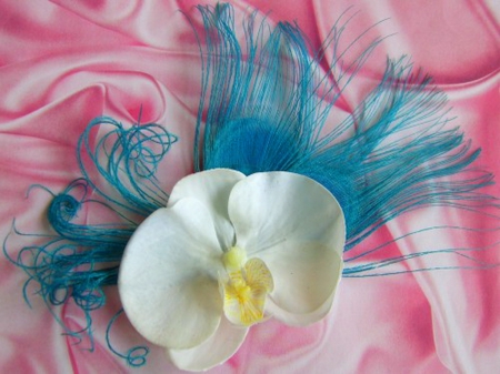 Feathers and orchid - white, peacock, feathers, orchid, flower