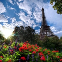 Morning in Paris