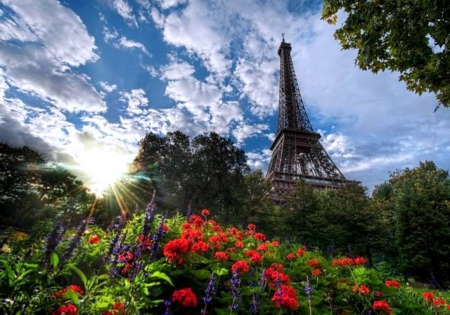 Morning in Paris - image, wallpaper, color, expression, new