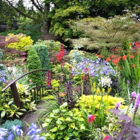 Beautiful Garden