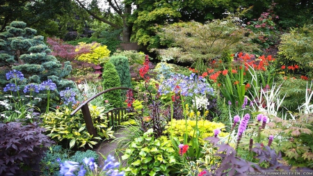 Beautiful Garden - nature, gardens, flowers, parks