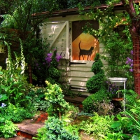 Lovely Garden