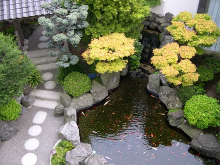 Fish Pond in Your Garden