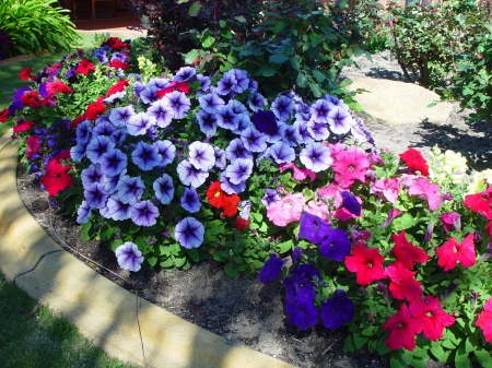 Colorful border - flower beds, flowers, borders, gardens