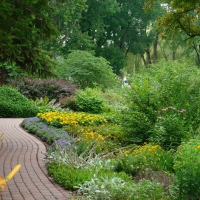 Manicured garden