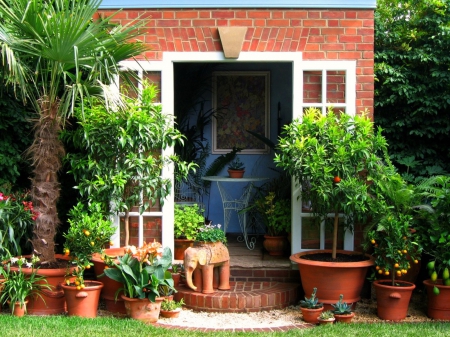 Back door to the garden - shrubs, greenery, pots, gardens