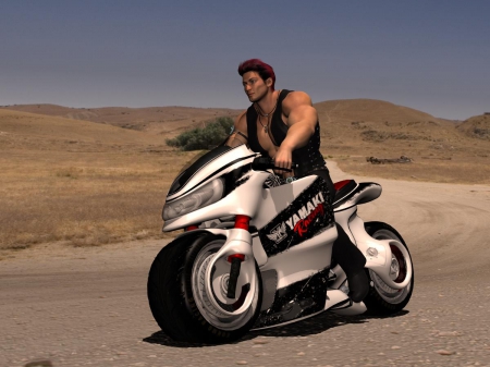 Wild biker - muscle, driver, biker, hunk, wild, motorbike, motorrad