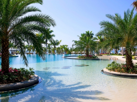 Resort - water, pool, resort, palm tree