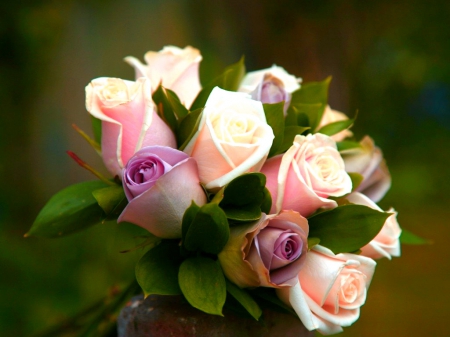 Bouquet of rose - flowers, bouquet, roses, petals