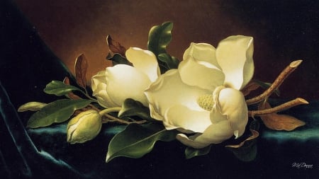 Magnolia Blooms - flowers, blooms, blossoms, painting, fragrant, Chinese, still life