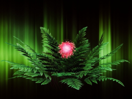 Fern Blossom Night - nature, green, flowers, fern