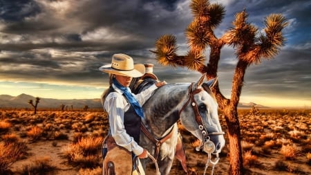 Cowgirl - Photoshop, cowgirl, field, horse