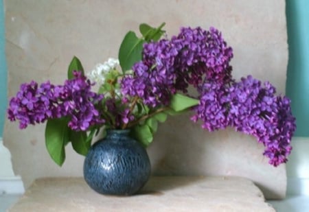 purple lilacs - flowers, purple, still life, lilacs