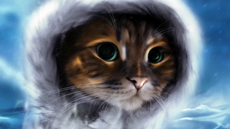 Kitty at North Pole - north pole, art, artwork, ice, skyphoenixx1, cat, kitty, alaska, winter, wallpaper, at, jacket, kitten, picture, abstract, snow, animal, coat, pole