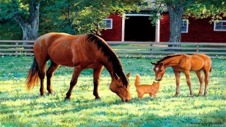 Barnyard Friends - colt, farm, horse, cat