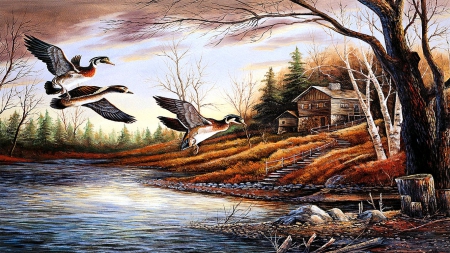 Cabin at the Lake - trees, water, ducks, cabin