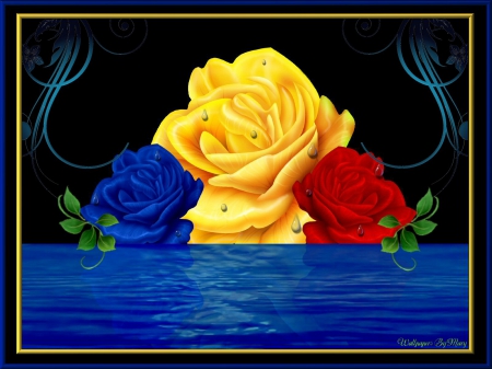 Brilliant Roses 1600x1200 - YellowRoses, Water, Flowers, RedRoses, BlueRoses, Roses