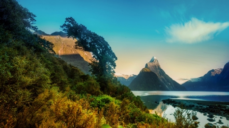 gorgeous fjord landscape at milford new zealand - mountains, fjord, peaks, trees