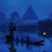 chinese fisherman with his cormorants in the morning