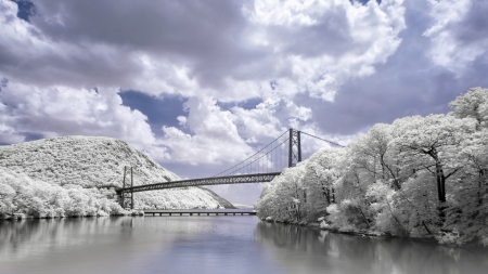 bridge over white trees along a river - white, trees, clouds, river, bridge