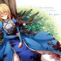 Fate Stay Night