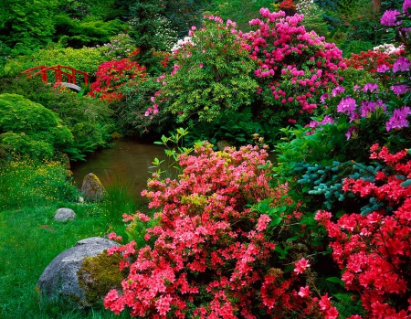 Tranquil time - pretty, quiet, summer, creek, rhododendrons, tranquil, stream, grass, flowers, garden, paradise, freshnes, nice, azaleas, greenery, trees, beautiful, beauty, lovely, stones, river, bridge, park