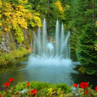 Butchart gardens