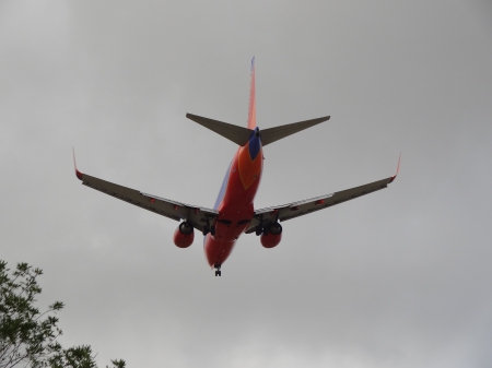 Clearing the Treetops - aircraft, plane, jet, sky