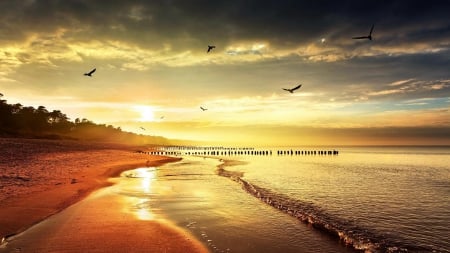 fantastic beachscape - birds, sunset, beach, pylons, sea