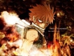 Fairy Tail