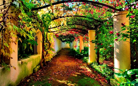 WALKWAY - path, nature, awning, shade, creeps