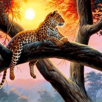 Cheetah on Tree