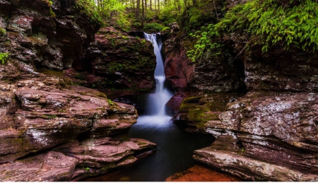 adam's falls - nature, fun, forest, river, waterfall