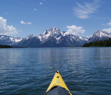 jackson lake - lake, forest, mountains, fun, nature