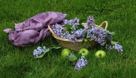 *** Still life *** - flowers, apples, nature, lilacs