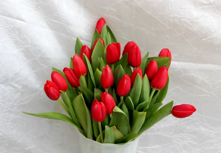 *** Red tulips *** - flowers, red, nature, tulips