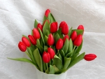 *** Red tulips ***