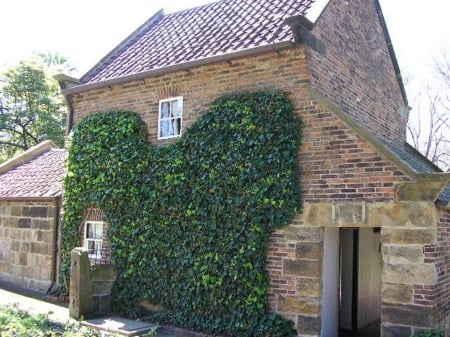 Cook's Cottage - cottage, melbourne, victoria, captain cook, australia