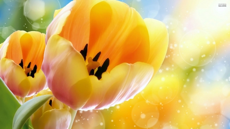 ~Orange Tulips~ - tulips, petals, flowers, orange, nature