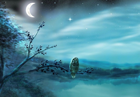 Beautiful night - black, bird, owl, blue, art, sky, fantasy, view, moon, star, tree, branch