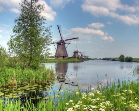 kinderdijk-holland - molen, holland, lente, kinderdijk-holland